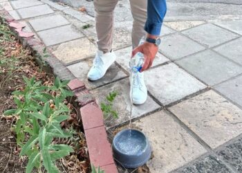 Θεσσαλονίκη: Μπολ με νερό σε περισσότερα απο 100 σημεία για τα αδέσποτα
