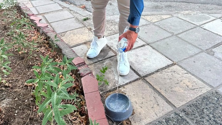 Θεσσαλονίκη: Μπολ με νερό σε περισσότερα απο 100 σημεία για τα αδέσποτα