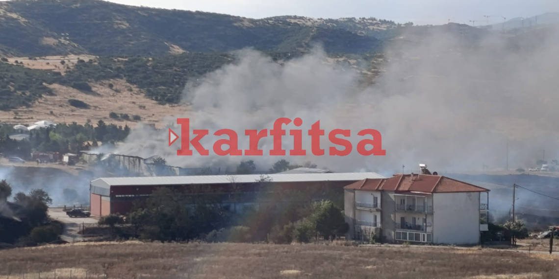 Ωραιόκαστρο: Ολονύχτια μάχη με τις φλόγες – Στις στάχτες επιχειρήσεις, συνελήφθη 76χρονος (photo+video)
