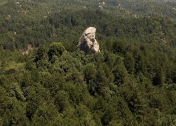 Απαγόρευση κυκλοφορίας σε δασικές περιοχές των δήμων Κασσάνδρας, Σιθωνίας και Αριστοτέλη