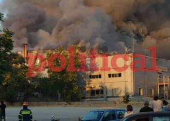 Αττική: Πυρκαγιά στο παλιό κτίριο του Badminton στο Πάρκο Γουδή (Video)
