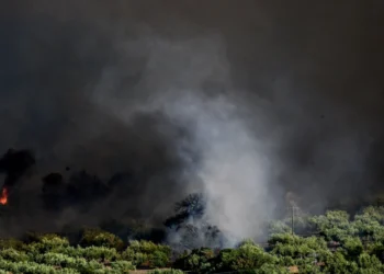 Πύρινη κόλαση στη Βοιωτία: Σπίτια στις φλόγες στο Πόρτο Γερμενό – Συγκλονίζουν οι μαρτυρίες (photo)