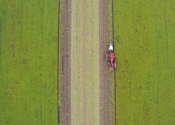 ΟΣΔΕ 2026: Μέσω myAGRO η Ενιαία Αίτηση Ενίσχυσης