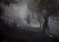 Πύρινη κόλαση στη Δυτική Αττική: Νέες εκκενώσεις με 112 – Μάχη όλη τη νύχτα για να σωθούν Μέγαρα, Αλεποχώρι και Βίλια (Video)