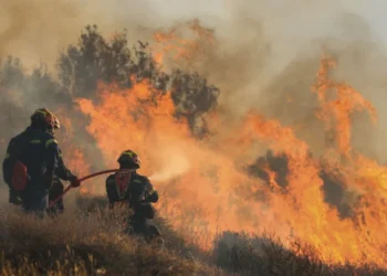 Έξι συλλήψεις για εμπρησμούς και παραβάσεις πυροπροστασίας σε Ηλεία, Έβρο, Αττική, Χίο, Θεσπρωτία και Φωκίδα