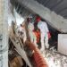 Ινδονησία: 53 οι νεκροί από το φονικό σεισμό – Χιλιάδες άνθρωποι έχουν ανάγκη από επείγουσα βοήθεια