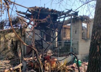 Υπουργείο Κλιματικής Κρίσης: Ενέργειες για την κρατική αρωγή προς τους πυρόπληκτους