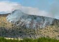 Κοζάνη: Πρόλαβαν την φωτιά στην Ερμακιά