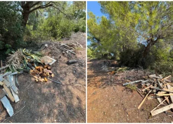 Χαλκιδική: Πέταξαν κλαδιά και ξερά χόρτα σε πευκοδάσος της Σιθωνίας – Άμεση κινητοποίηση για την απομάκρυνσή τους (Video)