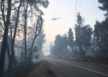 Σίβηρη Χαλκιδικής: Μικρότερη η δασική έκταση που κάηκε από τη συνολική καμένη έκταση