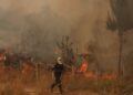 Σαλαμίνα: Δύο νεκροί από τη φωτιά στην περιοχή Περιστέρια