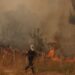 Σαλαμίνα: Δύο νεκροί από τη φωτιά στην περιοχή Περιστέρια