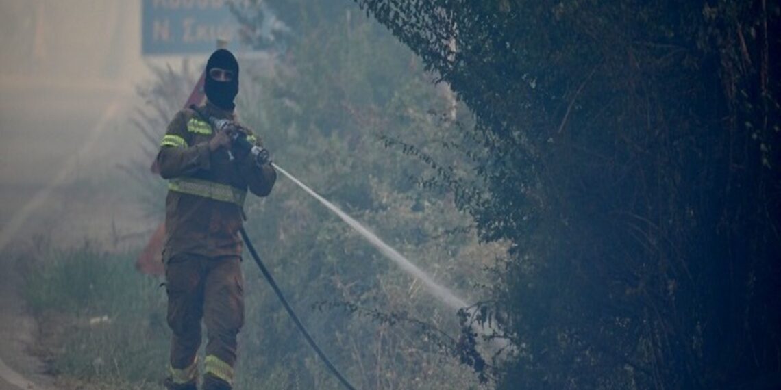Χαλκιδική: Καθαρισμός ρεμάτων και αντιπλημμυρικά έργα μετά την πυρκαγιά