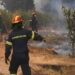 Σέρρες: Πυρκαγιά σε χαμηλή βλάστηση στην Παλαιοκώμη Αμφίπολης