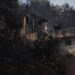 Σαλαμίνα: Στους 502 οι απεγκλωβισμένοι από θαλάσσης – 362 μεταφέρονται στη Φανερωμένη
