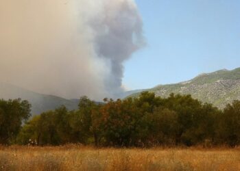 Οριοθετήθηκε η πυρκαγιά στους Αμπελόκηπους στο Άργος Ορεστικού Καστοριάς