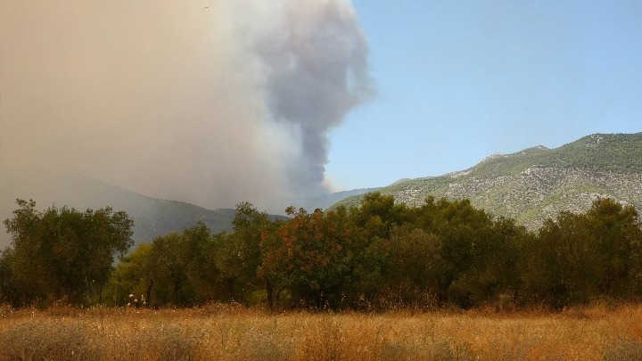 Οριοθετήθηκε η πυρκαγιά στους Αμπελόκηπους στο Άργος Ορεστικού Καστοριάς