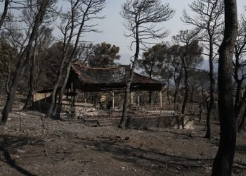 Χαρδαλιάς για Δυτική Αττική: «Μηδενική ανοχή στους υπαίτιους της πυρκαγιάς»
