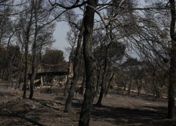 Φωτιά στη Βοιωτία: Στη φυλακή οι 3 εμπλεκόμενοι, «παγώνει» τη λειτουργία του το αιολικό πάρκο