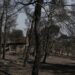 Φωτιά στη Βοιωτία: Στη φυλακή οι 3 εμπλεκόμενοι, «παγώνει» τη λειτουργία του το αιολικό πάρκο
