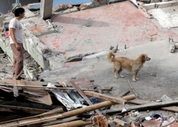 Σεισμός στην Κολομβία: Γυναίκα έσωσε τον σκύλο της της θυσιάζοντας τη ζωή της