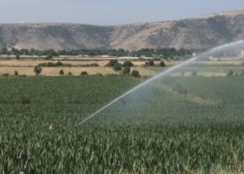 Θεσσαλία: Συνεχής πτώση της στάθμης του υδροφόρου ορίζοντα κάθε χρόνο