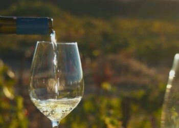 Η ξηρασία «χτυπά» τα γαλλικά αμπέλια – Η χαμηλότερη παραγωγή κρασιού των τελευταίων 30 ετών