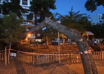 Καλαμαριά: Μητέρα και παιδί τραυματίστηκαν από πτώση δέντρου σε πάρκο