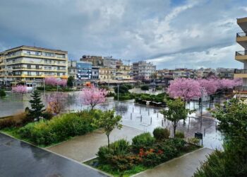 Επιστροφή με χειραποσκευή