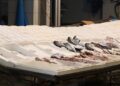 Παραμένουν δεμένα τα σκάφη στον Θερμαϊκό και κλειστές οι ιχθυόσκαλες