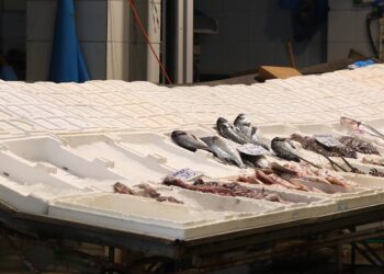 Παραμένουν δεμένα τα σκάφη στον Θερμαϊκό και κλειστές οι ιχθυόσκαλες